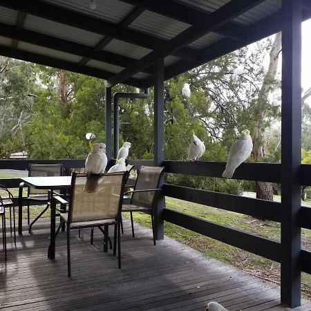 Cockatoo Cabin Голлс-Гап Екстер'єр фото