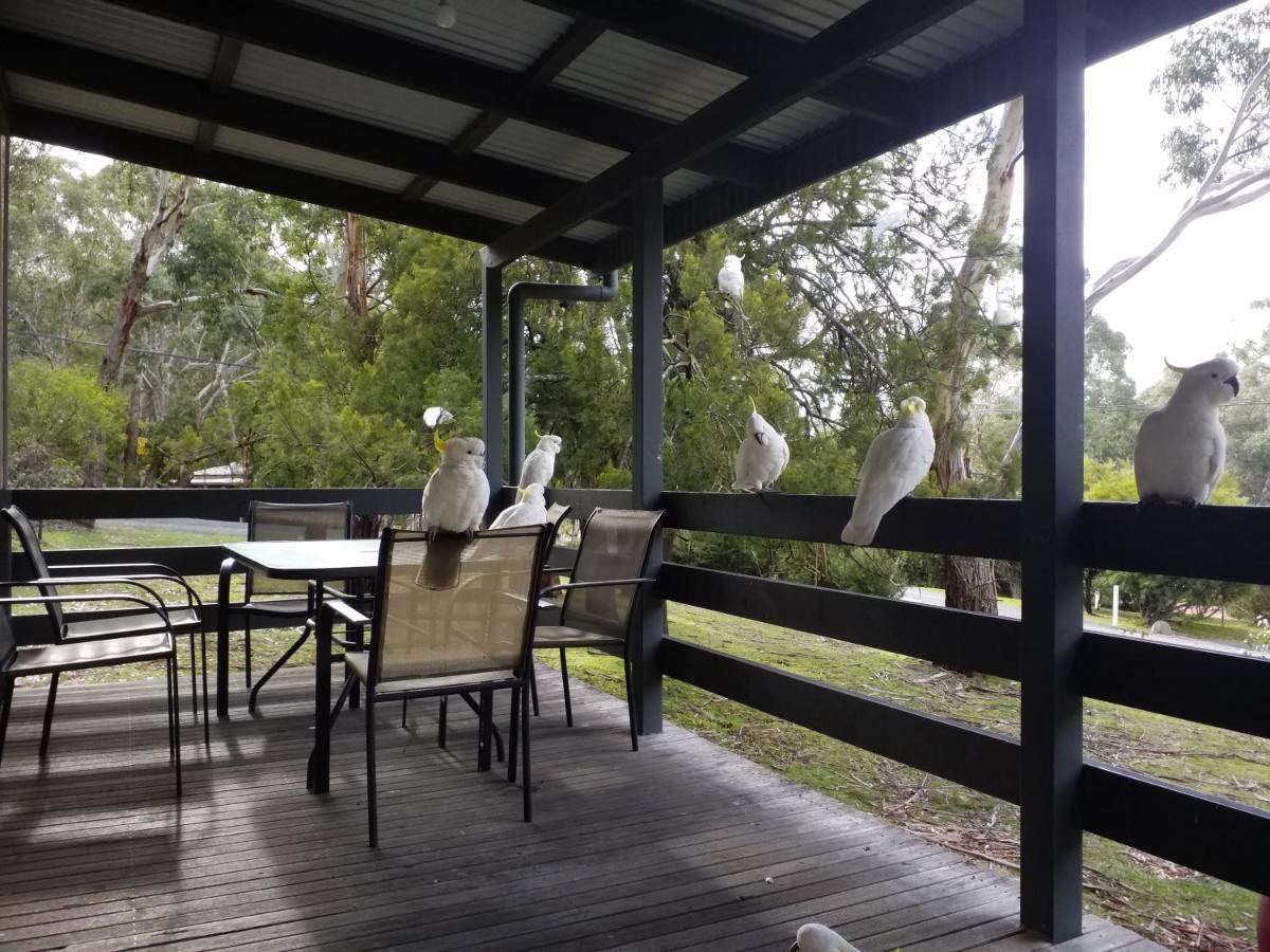 Cockatoo Cabin Голлс-Гап Екстер'єр фото
